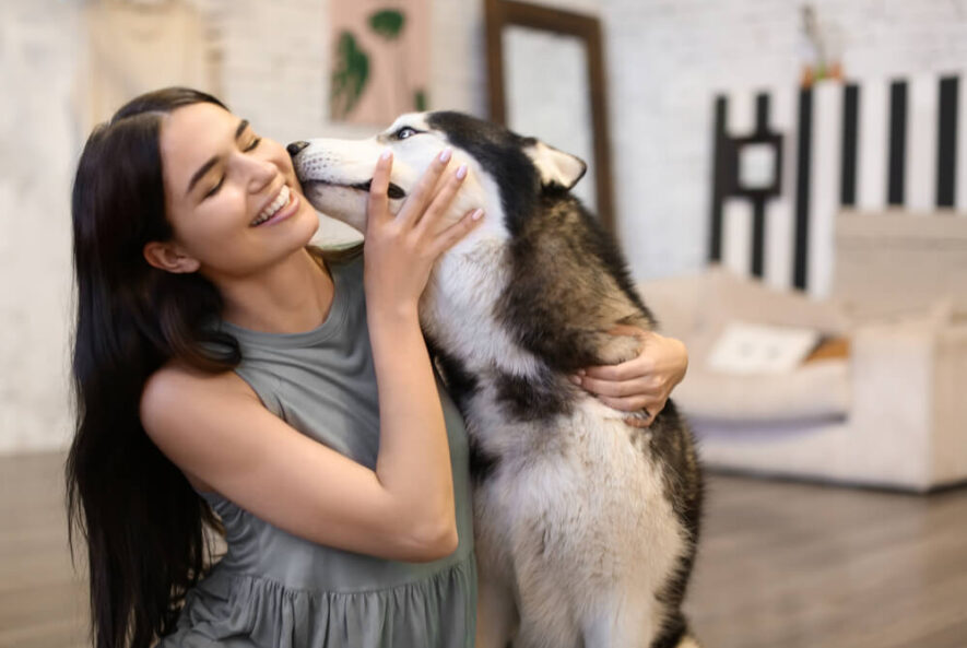 Beautiful dog with woman owner image