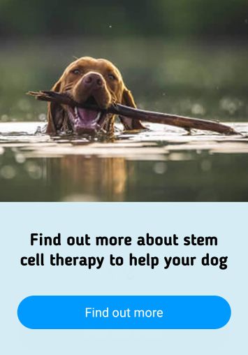 call to action link to science of stem cell page image