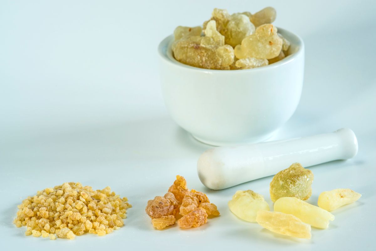 Boswellia Serrata
