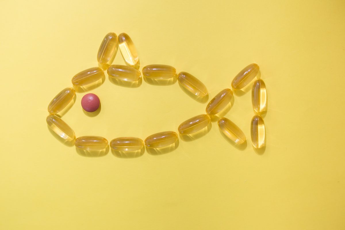 Alternative Medication For Dogs With Arthritis Alternative Medication For Dogs With Arthritis