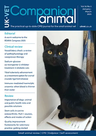 Companion animal publication image