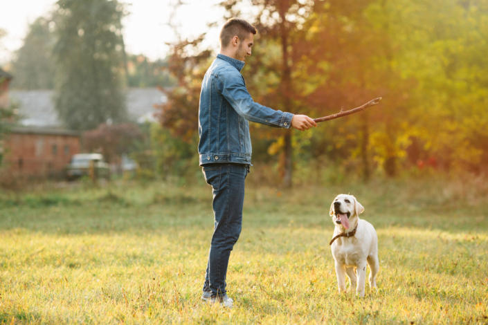 Man playing with dog Labrador in park at sunset image
